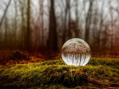 Glass ball reflecting the outdoor garden scenery